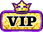 VIP MSP