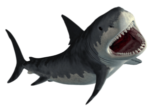 Hungry Shark World code triche