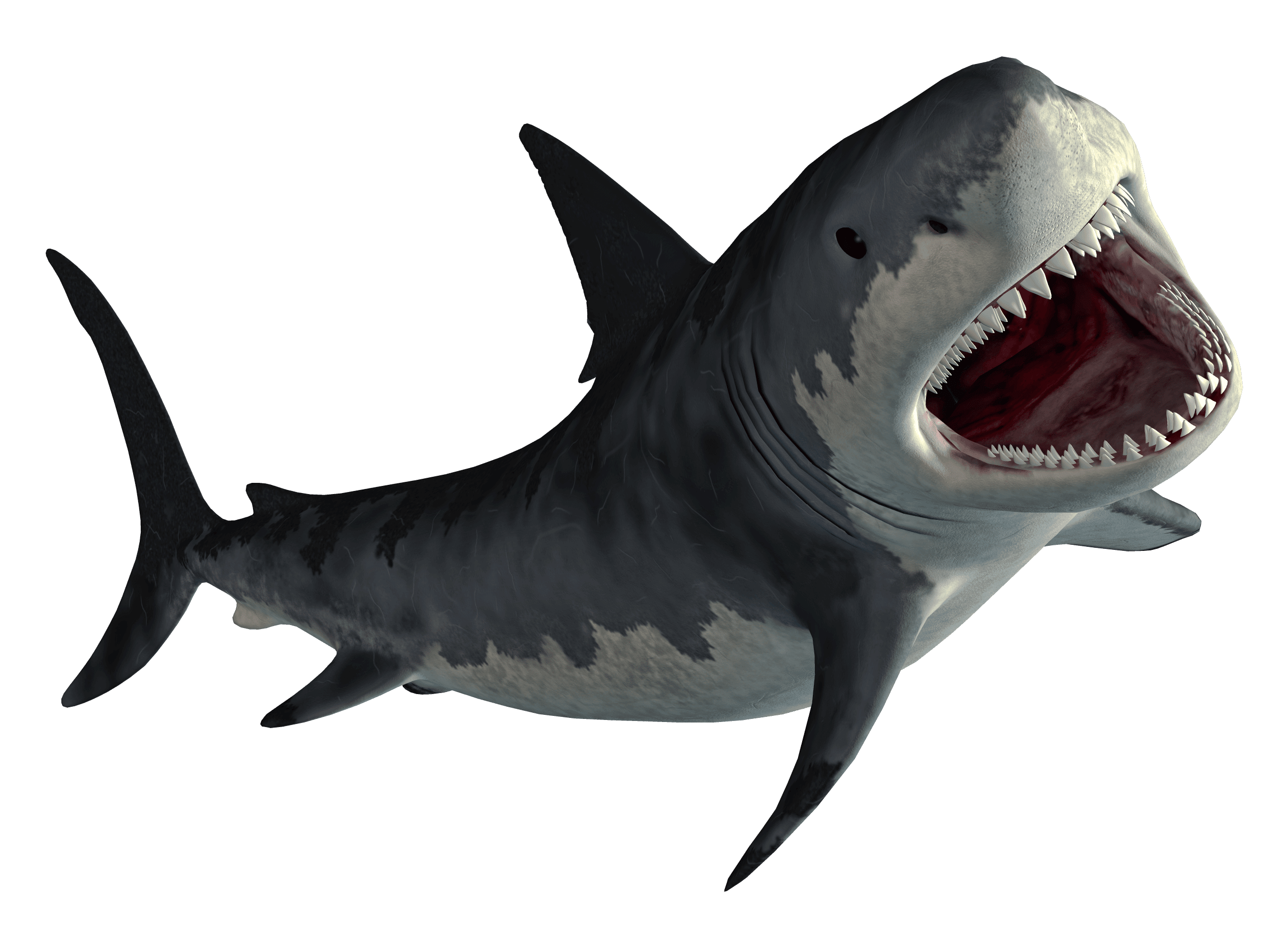 Hungry Shark World code triche